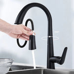 Black Kitchen Sink Tap with pull out spray fixture