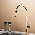 Kitchen Mixer Taps 1177 Gold