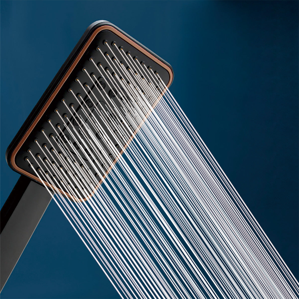 Black Single-Function Hand Shower