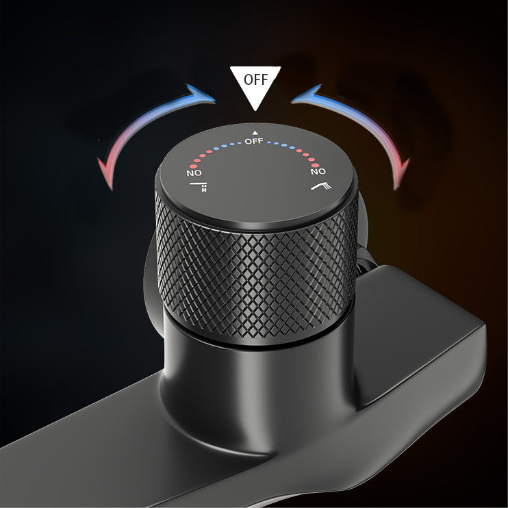 Handheld Shower Mixer set 1219 Black