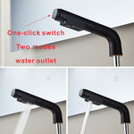 IFEEL Mixer Tap with Pull-Out Spray, Countertop Basin Tap 011539 Black