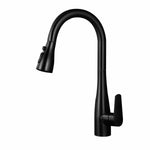 IFEEL Kitchen Sink Mixer Tap Black 0618B