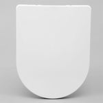 Modern High-Gloss Heavy Duty D shape PolypropyleneSoft Close Quick Release Toilet Seat