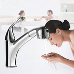 Modern Chrome Teardop Handle With Removable spray Handle Basin Tap