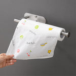 Paper Towel Holder Stainless Steel Original Color AK61