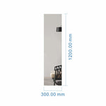 Mirror JG05 (30*120)