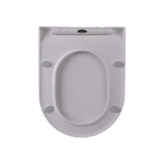 D Shape PP Toilet Seat LPA-090