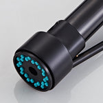 Taps Head Spray P1198 Black