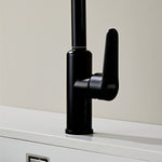 IFEEL Kitchen Sink Faucet Mixer Tap 1006 Black
