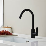 Basin & Kitchen Mixer_1230 Black