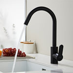 Basin & Kitchen Mixer_1230 Black