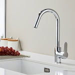 Basin & Kitchen Mixer_1230 Chrome