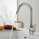 Basin & Kitchen Mixer_1230 Chrome