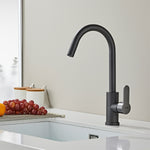 Basin & Kitchen Mixer_1230 Gary