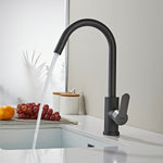 Basin & Kitchen Mixer_1230 Gary