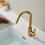 Basin & Kitchen Mixer_1230 Gold
