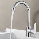 Basin & Kitchen Mixer_2318